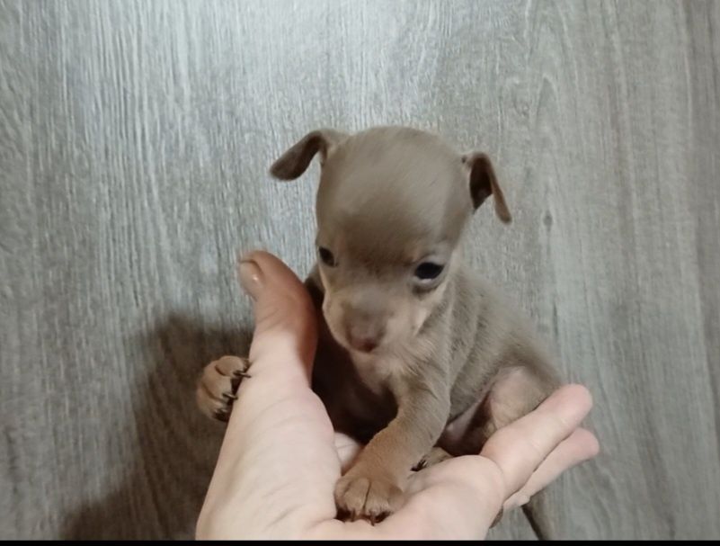 Супер мини девочка