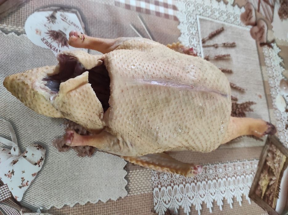 Tuszka z kaczki francuskiej