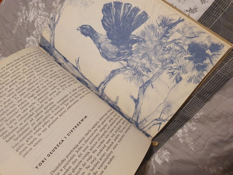 O ptakach Jan Pinowski