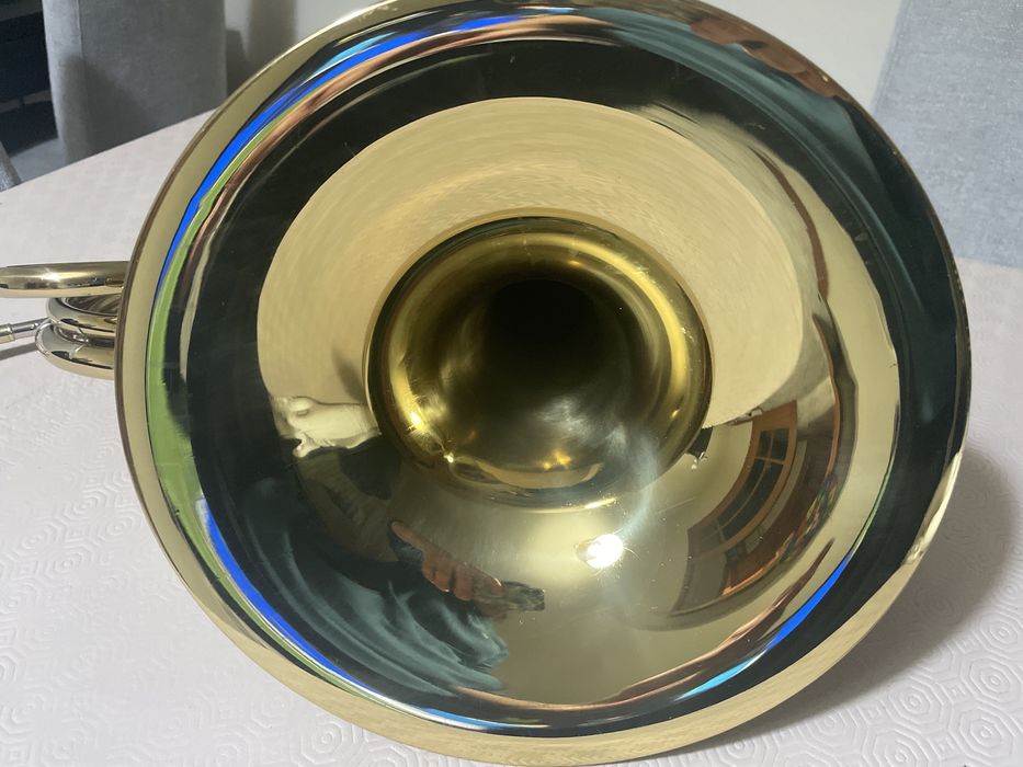 Trompa junior de fá gear4 music