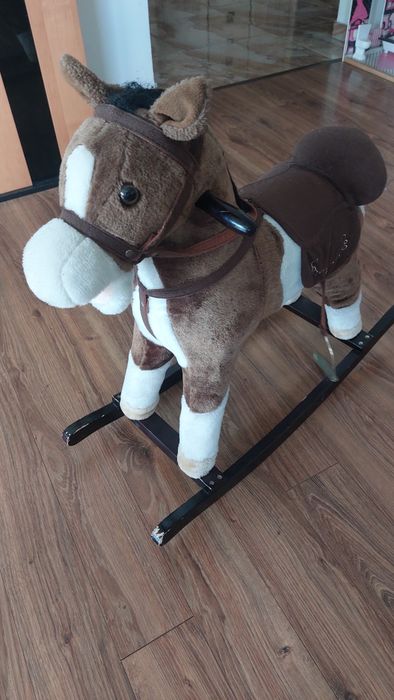 Konik na biegunie