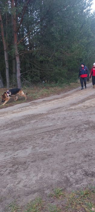 Grypa Poszukiwawczo-Ratownicza