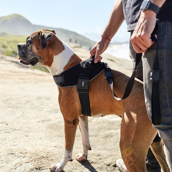 ZEE DOG czarne Szelki dla psa Fly harness Gotham, różne rozmiary
