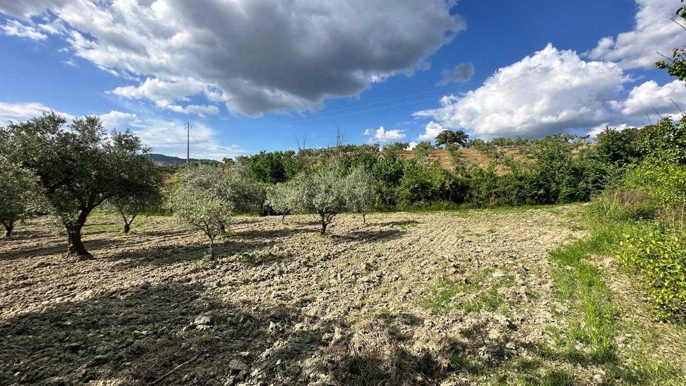 Terreno Rústico 4.392 m² – Eiras do Lagar, Vilarelhos (Alfândega da Fé)