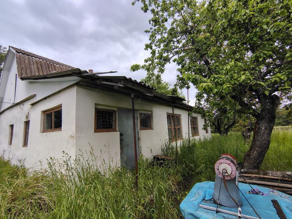 Фото ділянки