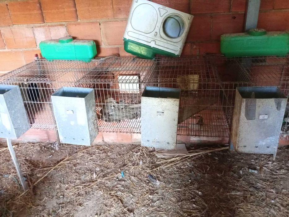 vendo jaula para coelhos