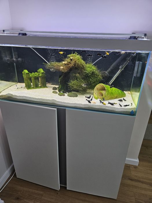 Aquário com filtro fx4