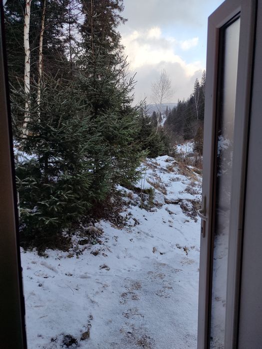 Відпочинок, котедж в Карпатах