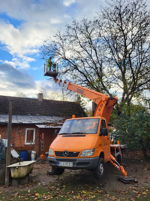 WYCINKA DRZEW - karczowanie , czyszczenie działek. Szybko i solidnie.