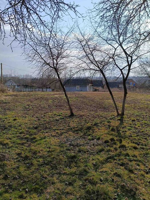 Терміново! Цегляний будинок з ділянкою 25сот. 43369