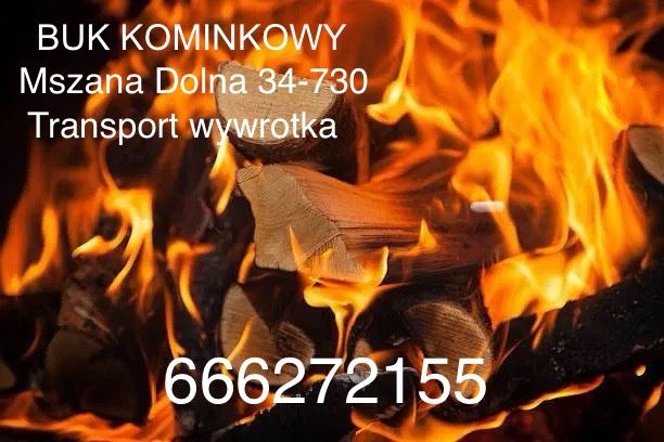 Opal swierk transport