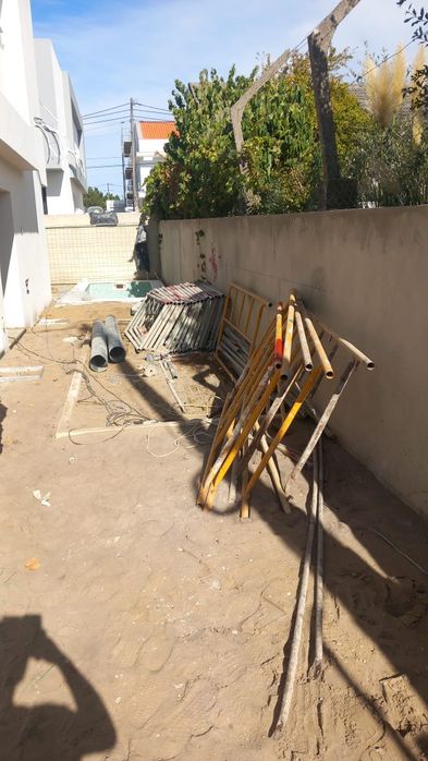 Recolha de monos