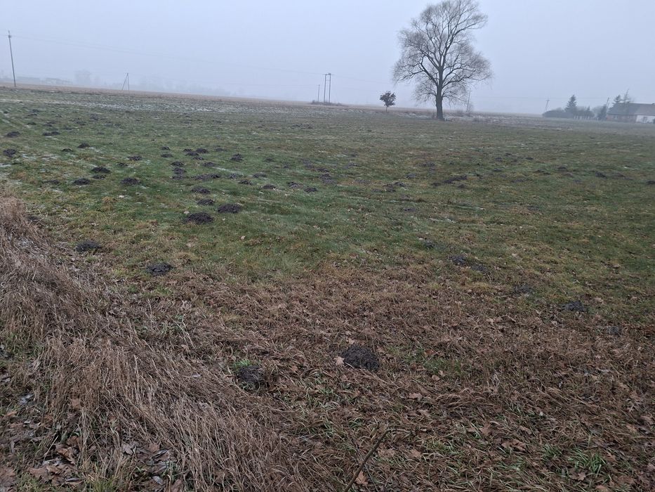 Działki budowlane Liszkowice ,gmina Rojewo