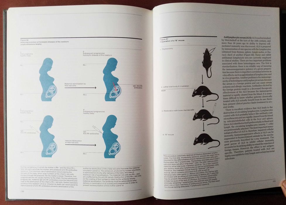 Livro: Immunology