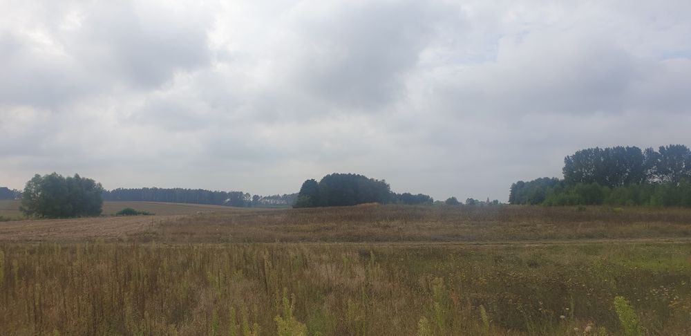 Ujazd k. Kiszkowa – działka rolna 3239 m²