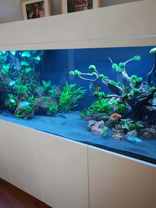 Akwarium 1000l 200x70x70