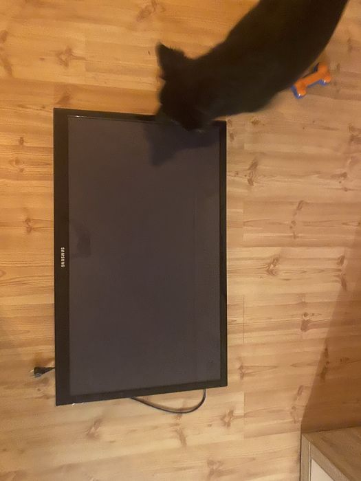 Samsung PS43D450A2W 43” Plazma TV + pilot