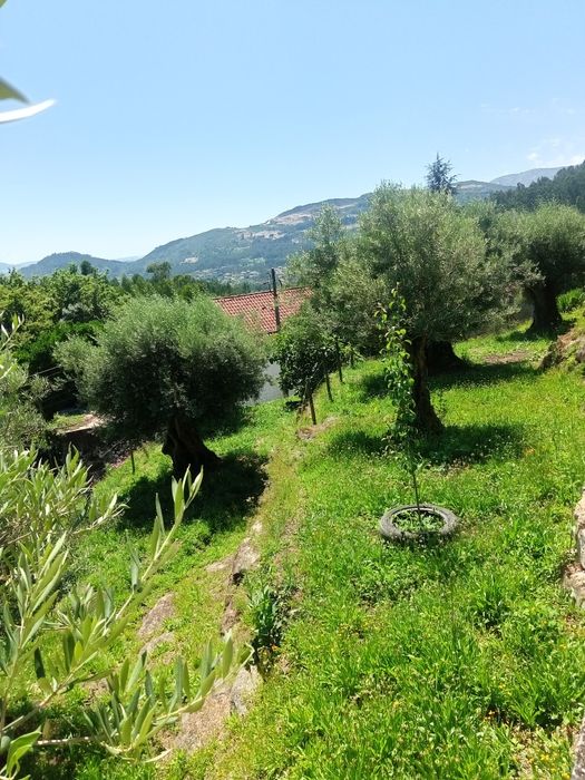 Casa para restaurar e terreno