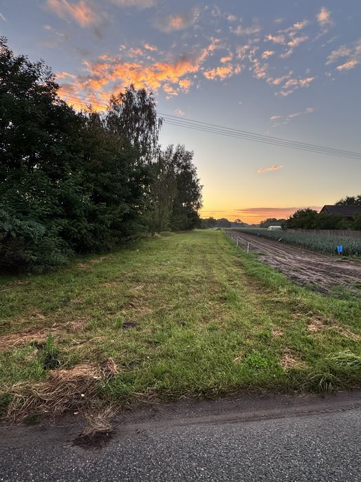 Dzialka rolna 0,59 ha Wilczkowice Dolne gm. Magnuszew - Widok 4