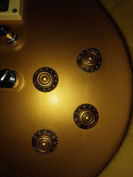 Les Paul 3rd eye/Custom77 gold top Slash