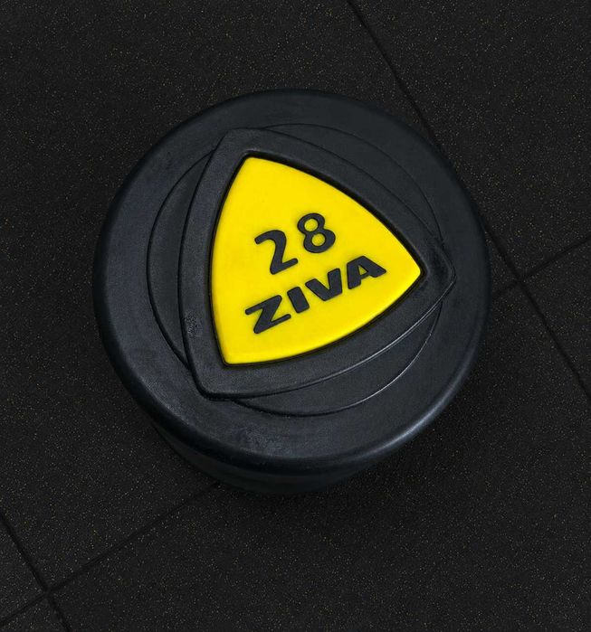 Hantel poliuretanowy ZIVA, 2 x 28 kg - Wyprzedaż