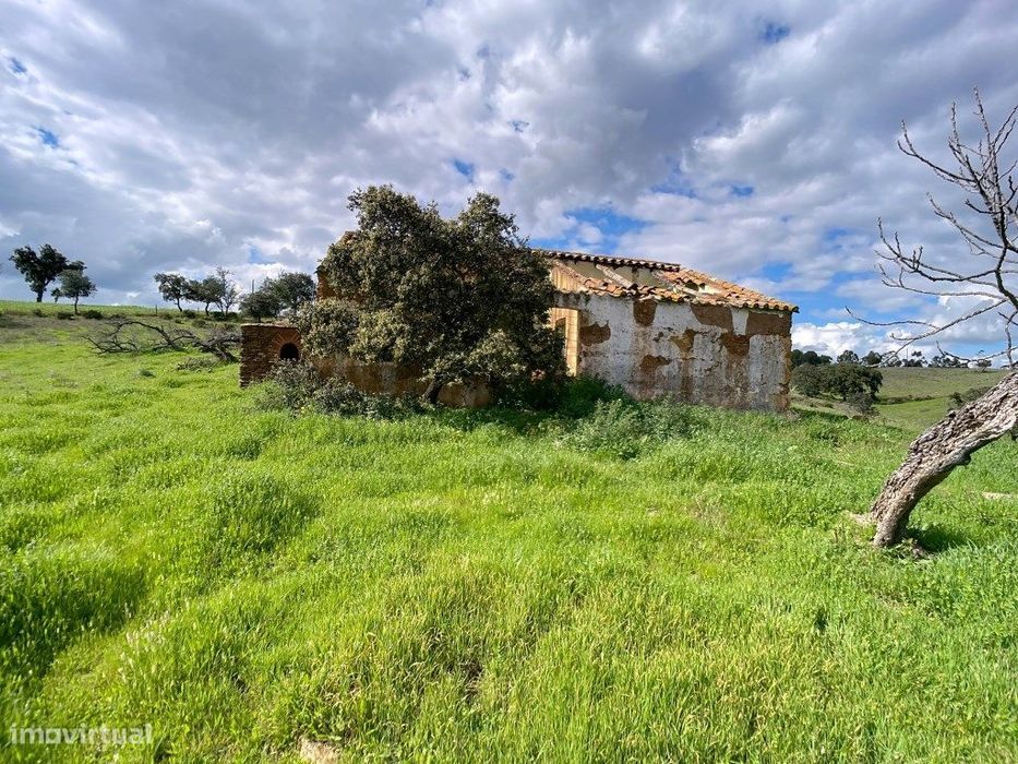 Quinta no Alentejo com duas habitações