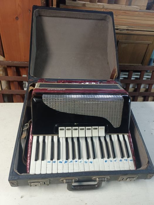 Akordeon Viktoria II