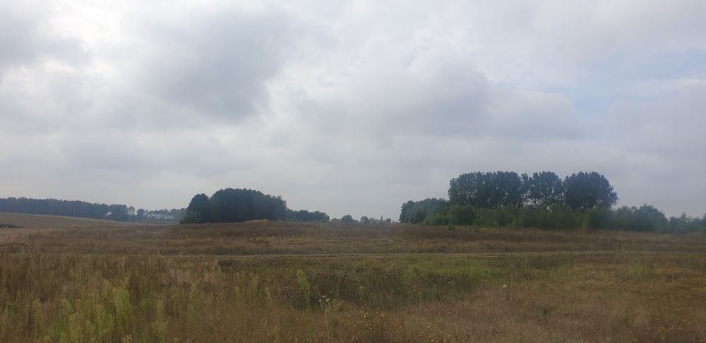 Ujazd k. Kiszkowa – działka rolna 3239 m²