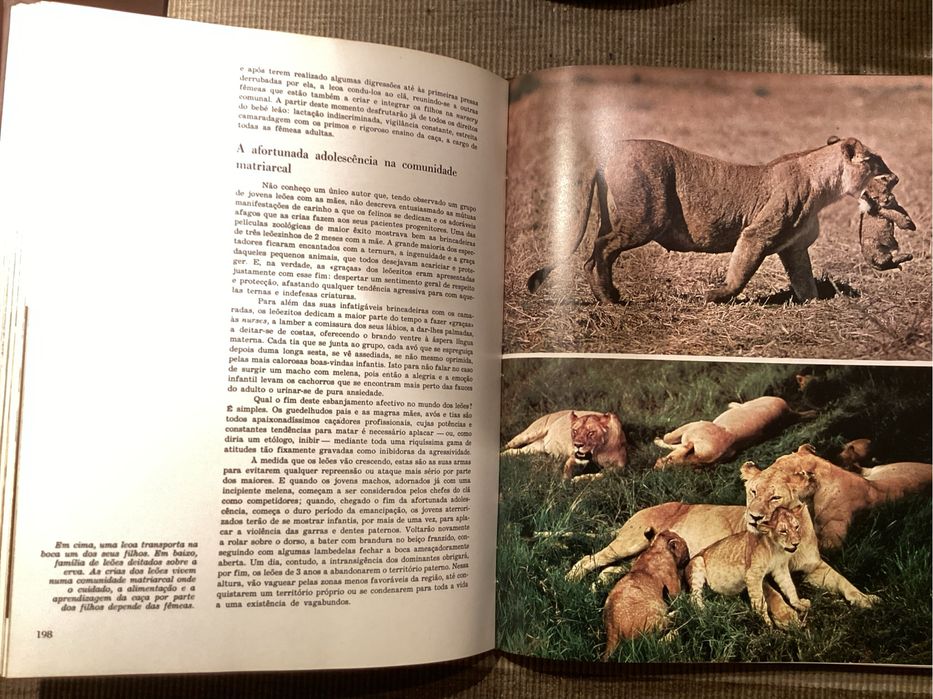 Eciclopédia A FAUNA da enciclopédia ALFA. Completa. Excelente.