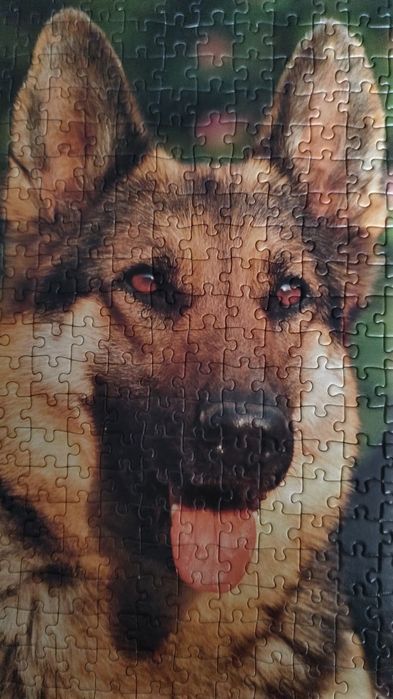 Puzzle 1000 sztPsy.Ravensburger kompletne