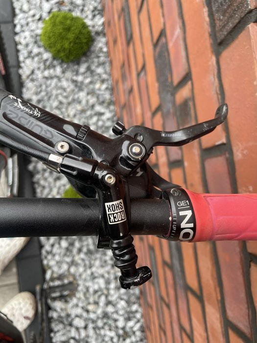 scott Genius 900 tuned Full Carbon