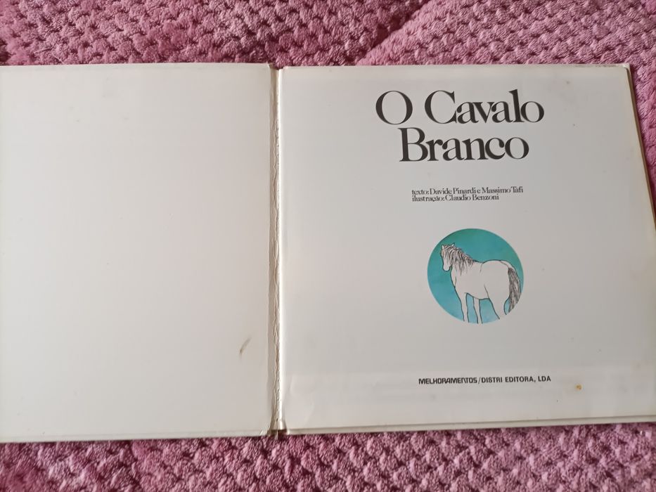 Livro O cavalo branco do ano 1982
