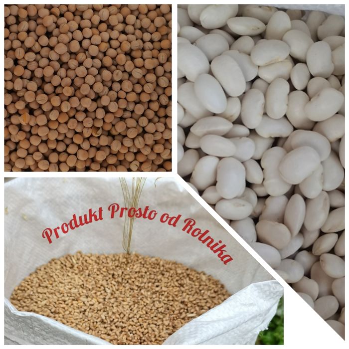 Fasola Jaś 10kg, Groch 5 kg, Pszenica 5kg