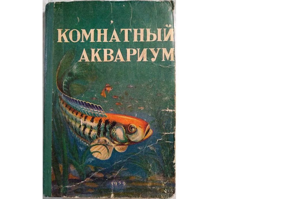 Комнатный аквариум, 1957. Пешков