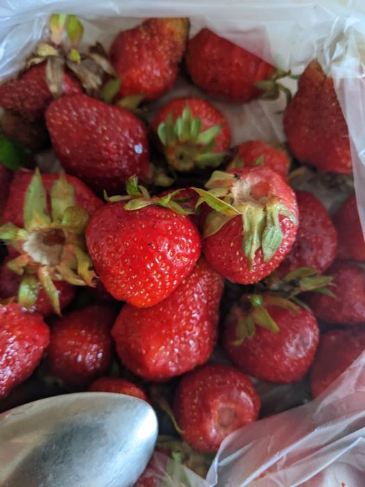 Продам картоплю  та клубнику