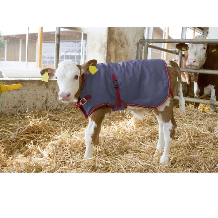 Derka dla cielaka Termoplus, 80 cm, granatowa, Kerbl