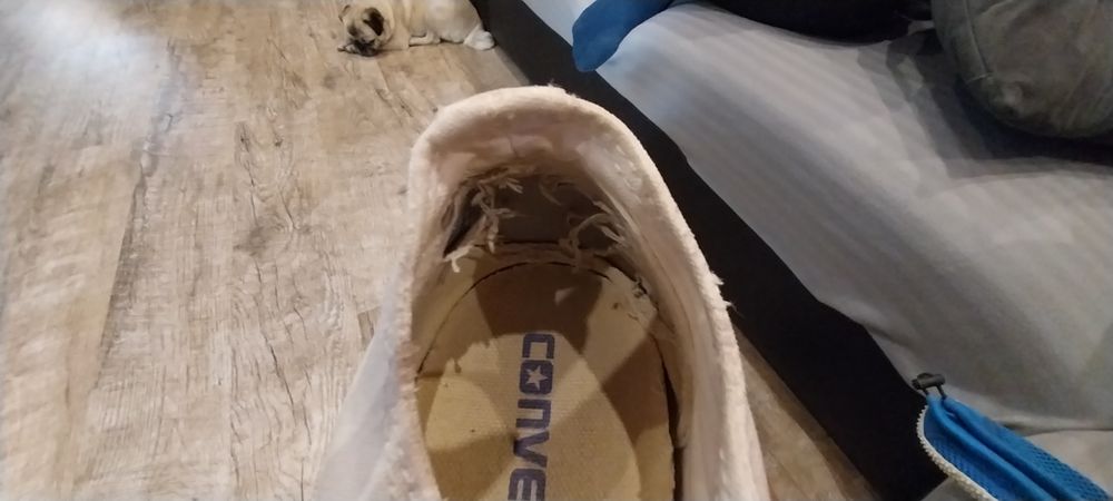 Tracki converse all star. Roz. 37