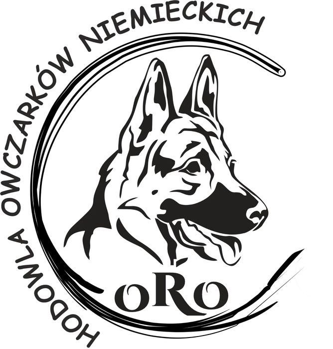 Owczarek niemiecki pies