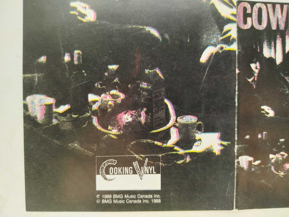 Okładka CD Cowboy Junkies The Trinity Session OP+OT bez płyty !!