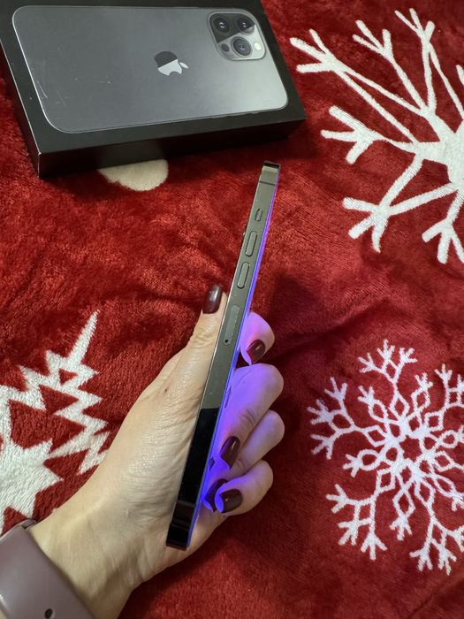 iPhone 13 Pro Max, 256 GB.