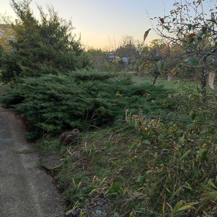 House by the address st. Molodezhnaya (area 60 m²) - Atlanta.ua - photo 4