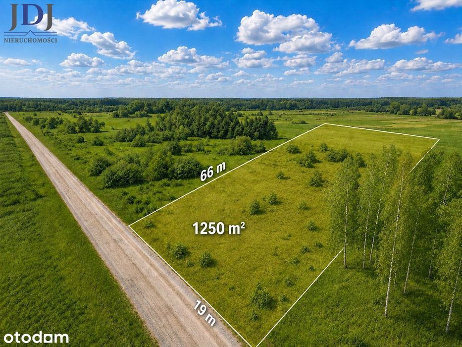 Działka z warunkami zabudowy. Okuninka. Włodawa - Widok 4