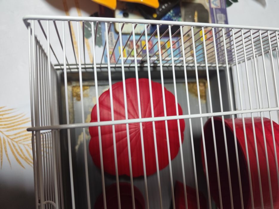 Gaiola para hamster