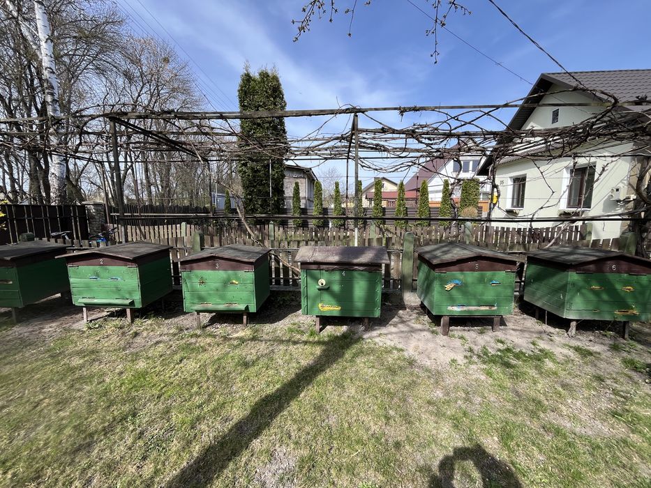 Пасіка,  вулики,  недорого