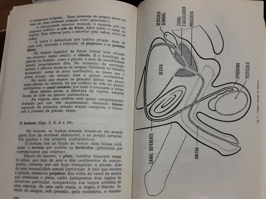 Dicionário de Informação Sexual
