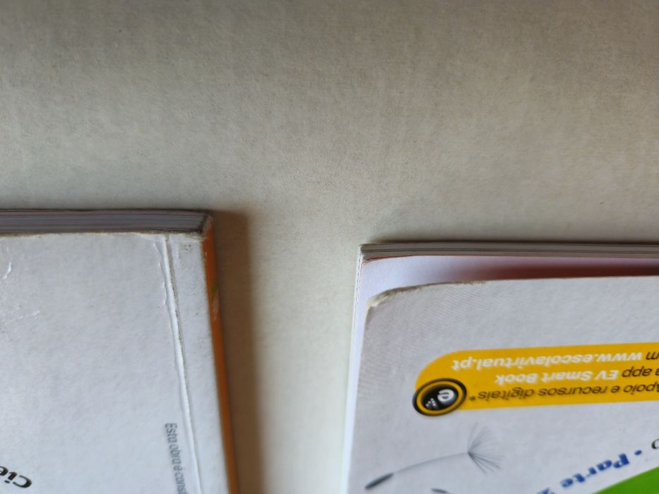 Livros/Manuais Escolares 6° Ano Ciência Viva/Ciências Naturais Parte 1