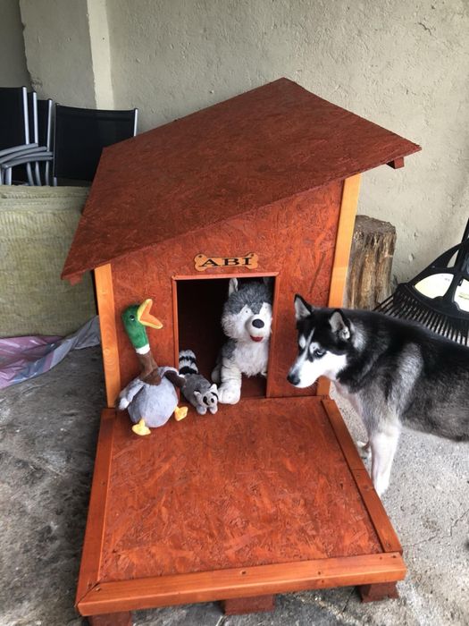 Buda ocieplona dla psa