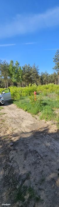 Jeziorsko Księża Wólka działki działka Jeziorsko Pęczniew rekreacyjne - View 4