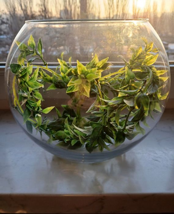 Акваріум-ваза для рибок і квітів