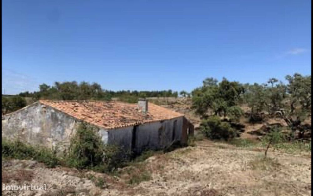 Quintinha no Alentejo